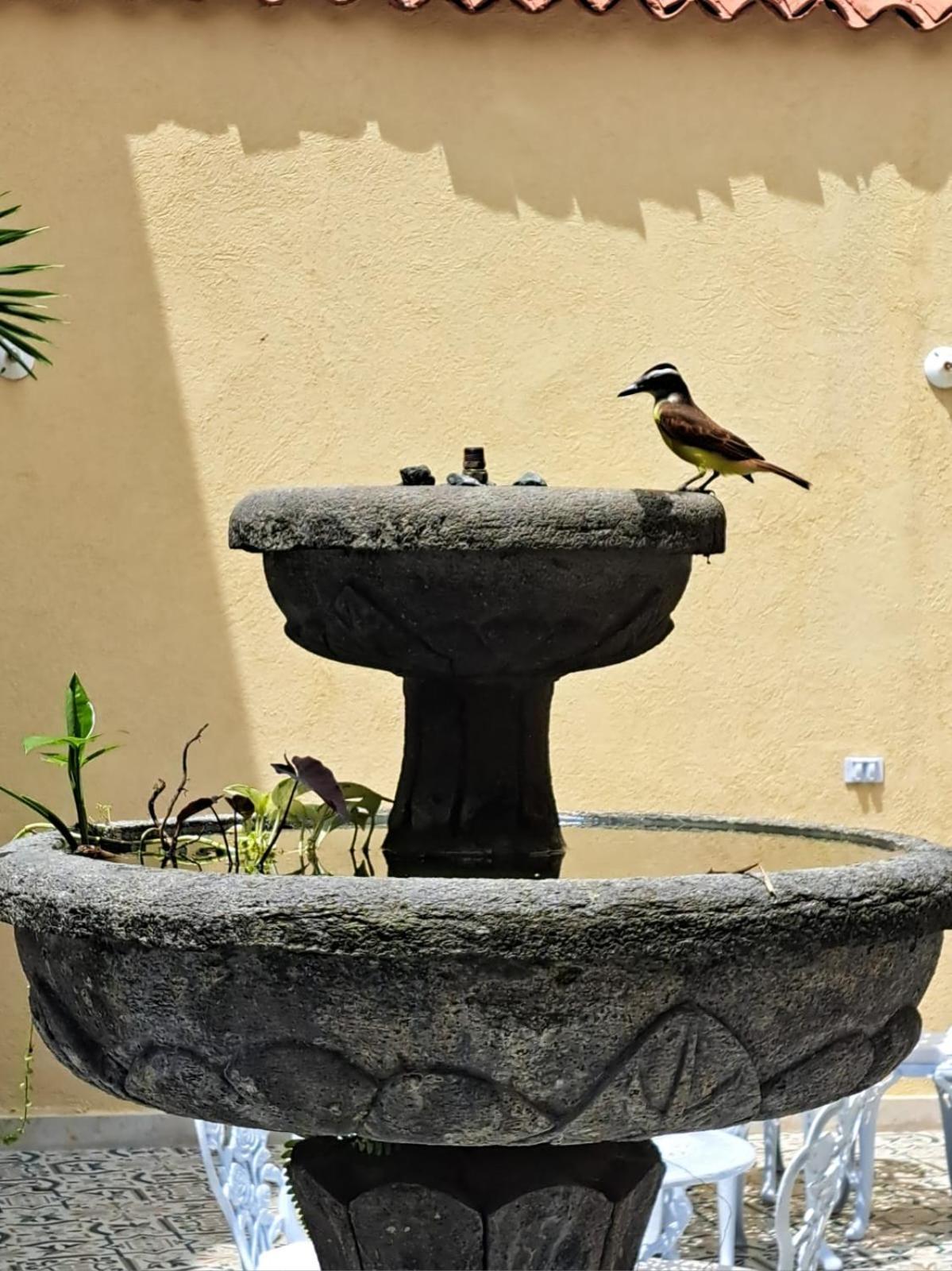 Casa Sileo - Boutique Hotel Cali Dış mekan fotoğraf
