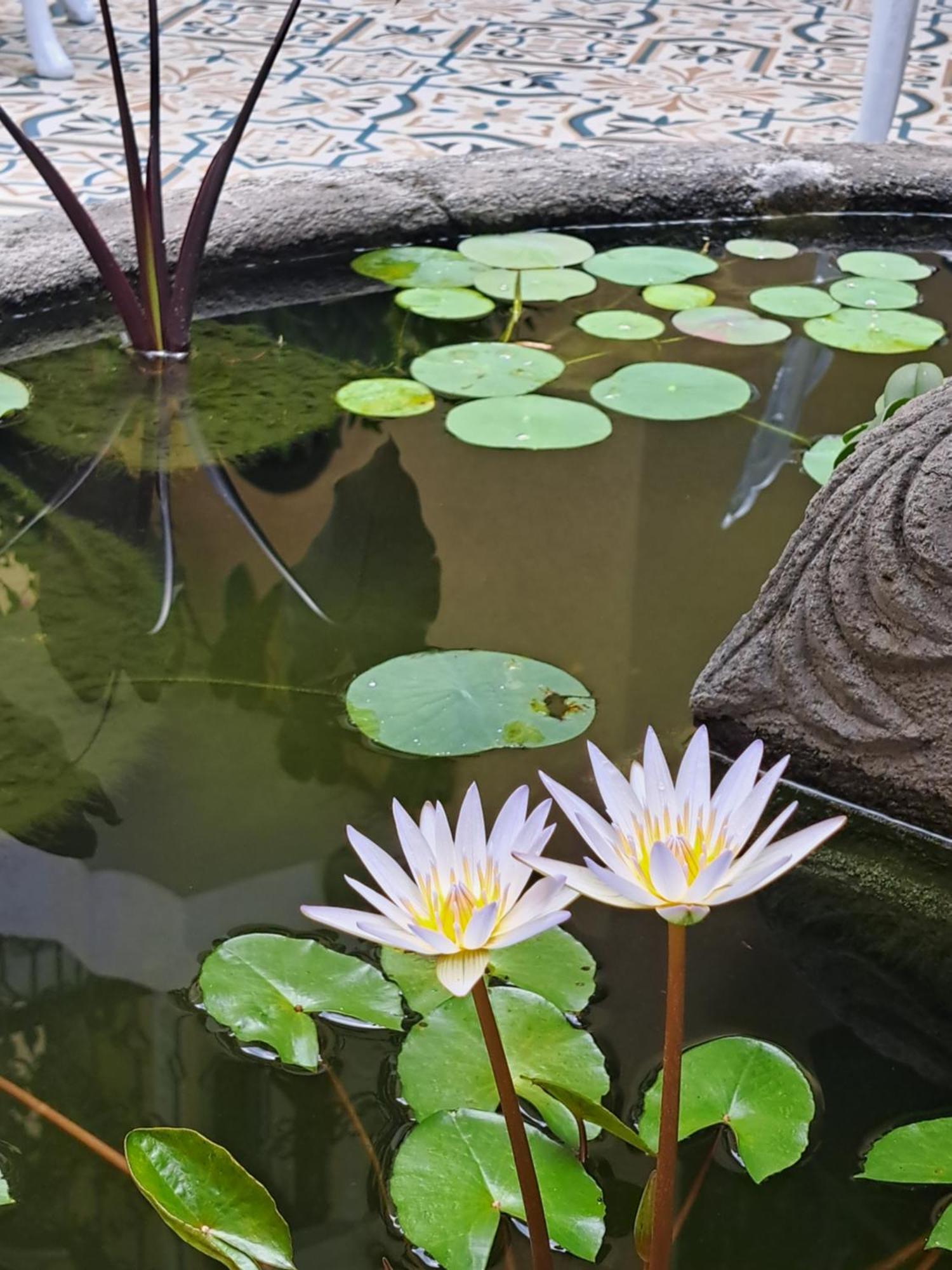 Casa Sileo - Boutique Hotel Cali Dış mekan fotoğraf
